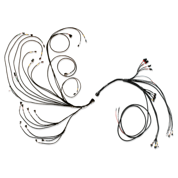 FuelTech PRO600 V8 Complete Wiring Harness FuelTech PRO600 V8 Complete Wiring Harness