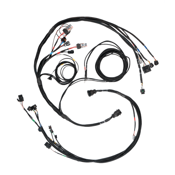 FuelTech FT450/550 Sportsman A Datalogging Harness FuelTech FT450/550 Sportsman A Datalogging Harness