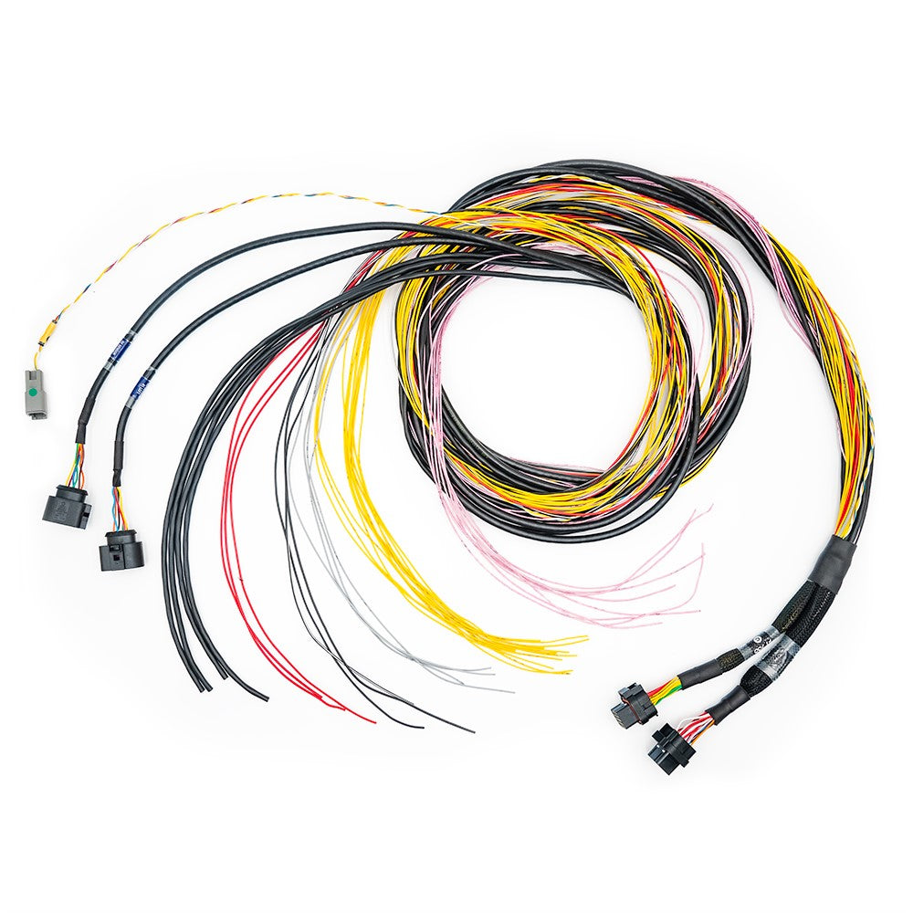 Unterminated wiring harness to install the FT700 ECU - customized engine management system installation. 