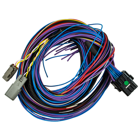 FuelTech Peak & Hold PRO Wiring Harness
